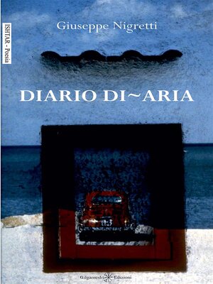 cover image of Diario di-aria